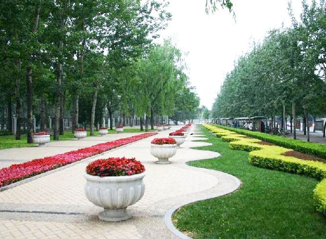 景觀綠化 景觀綠化