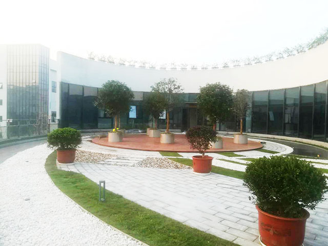 盆栽租賃 盆栽租賃