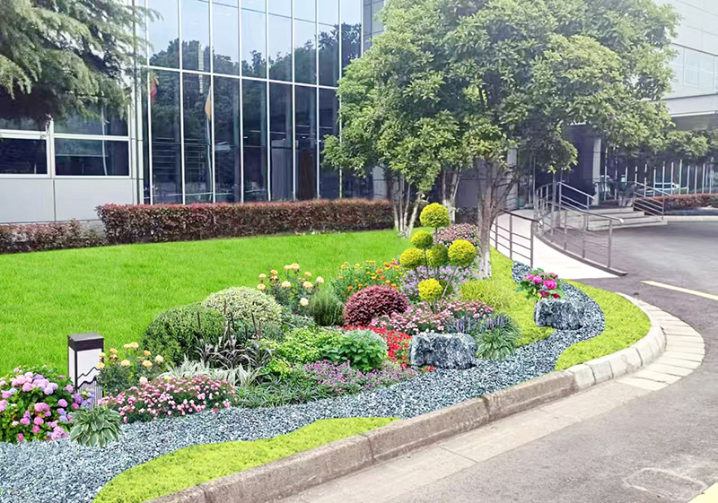 蘇州微創(chuàng)骨科學(xué)集團(tuán)